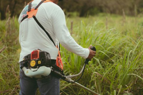 Green Spaces Maintenance