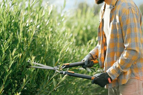 Garden Maintenance