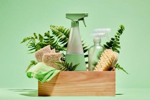 What to look for in green cleaning
